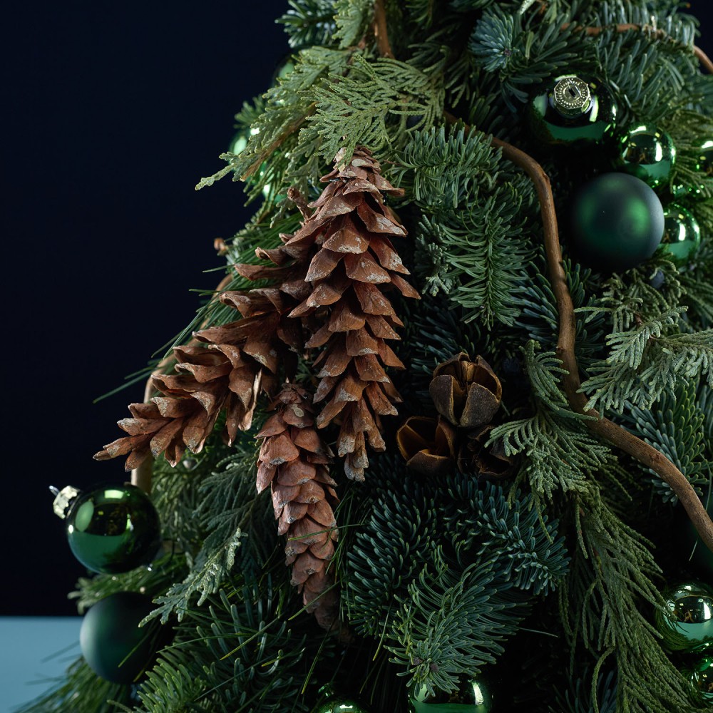 New Year 018 New Year 018