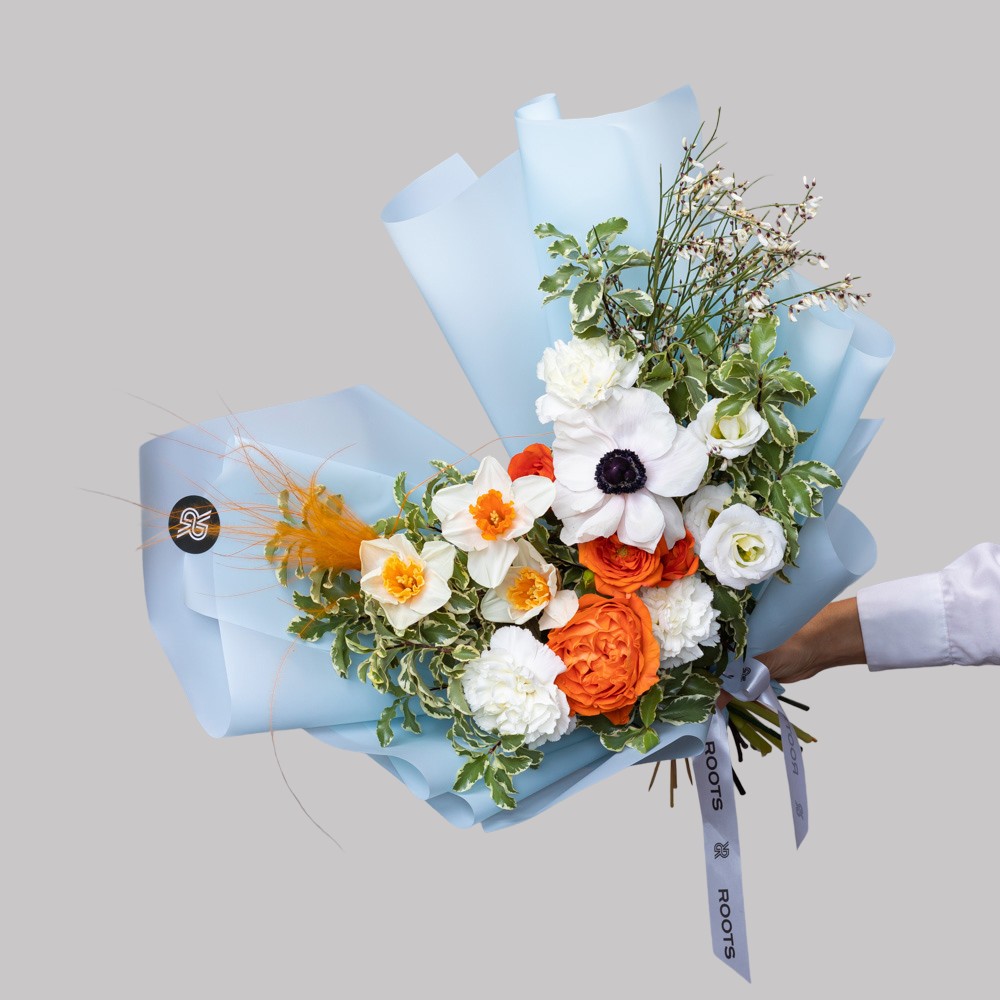 Capsule 014 Capsule 014