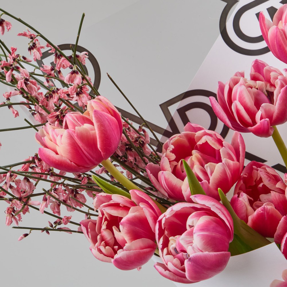 8marta 001 8marta 001