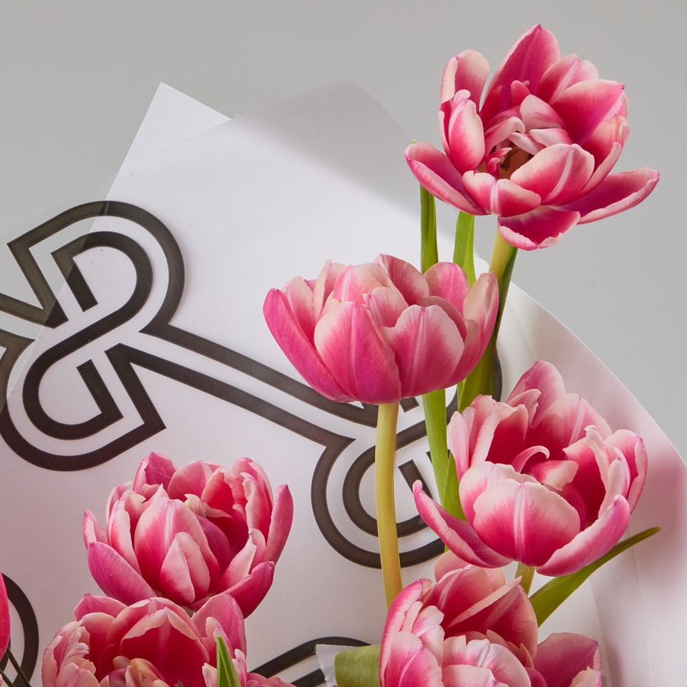 8marta 001 8marta 001