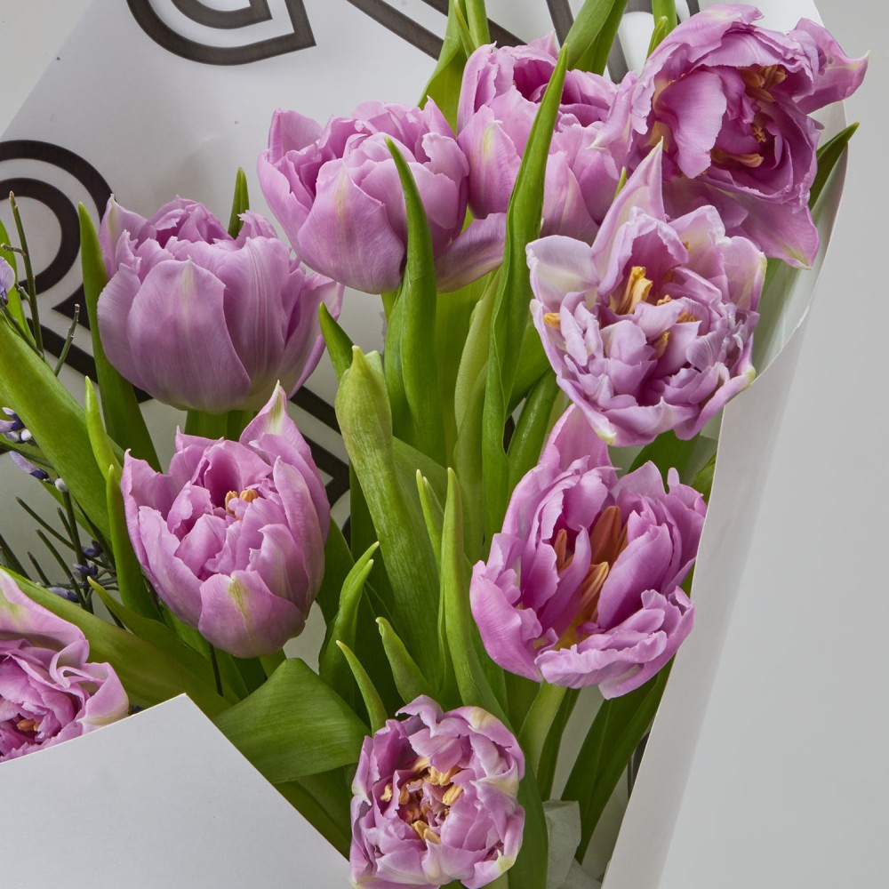 8marta 005 8marta 005