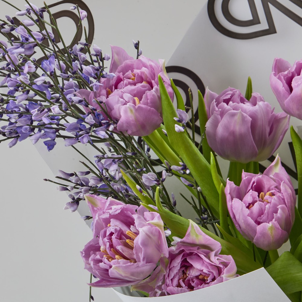 8marta 005 8marta 005