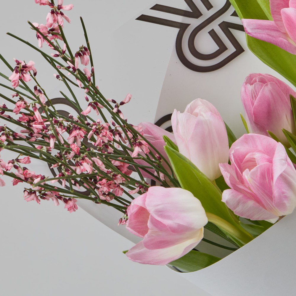 8marta 006 8marta 006