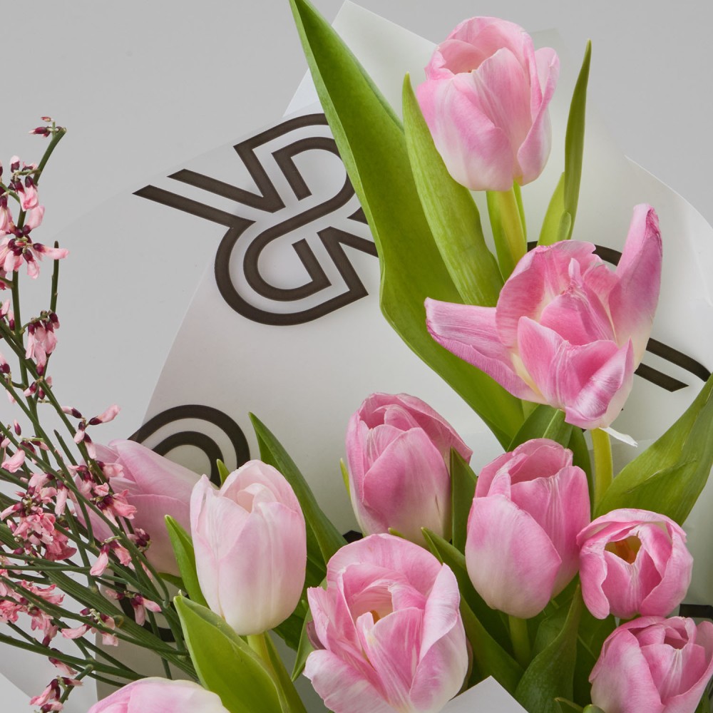 8marta 006 8marta 006