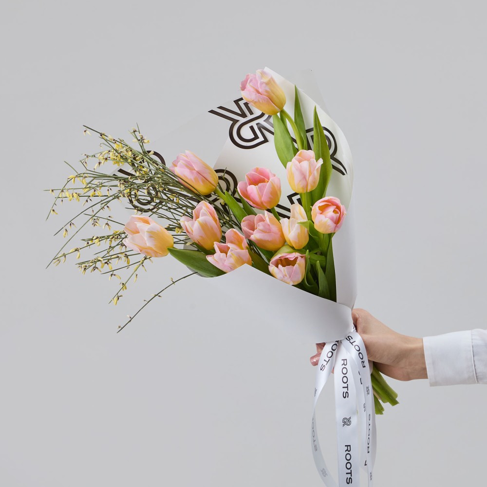 8marta 007 8marta 007