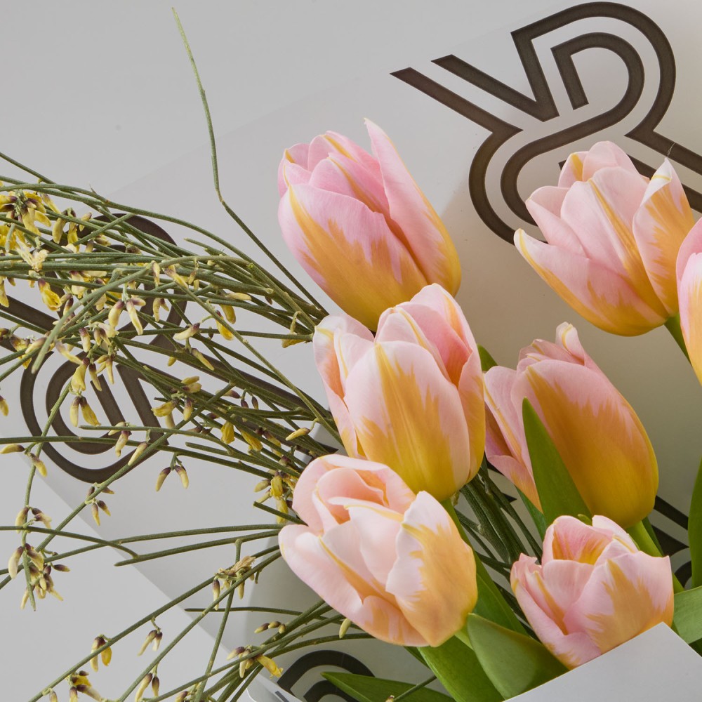 8marta 007 8marta 007