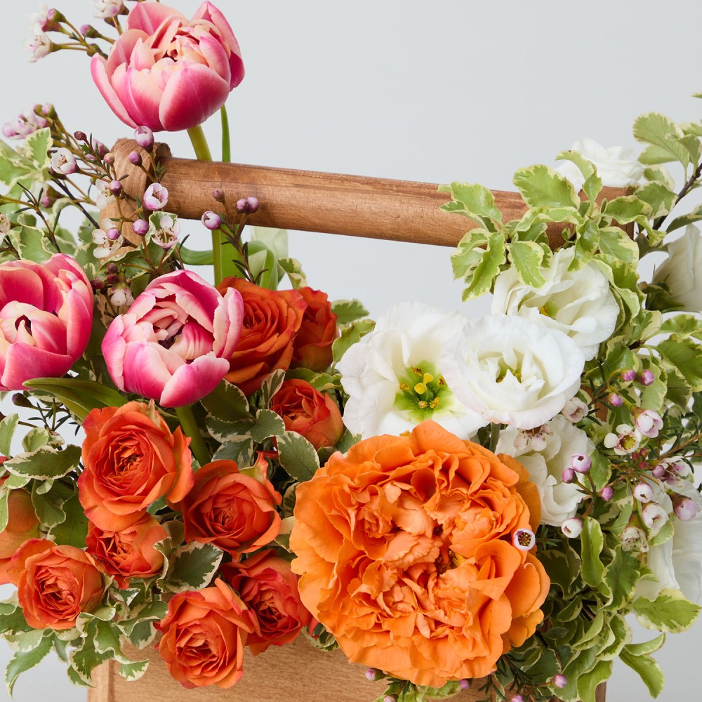 8marta 011 8marta 011