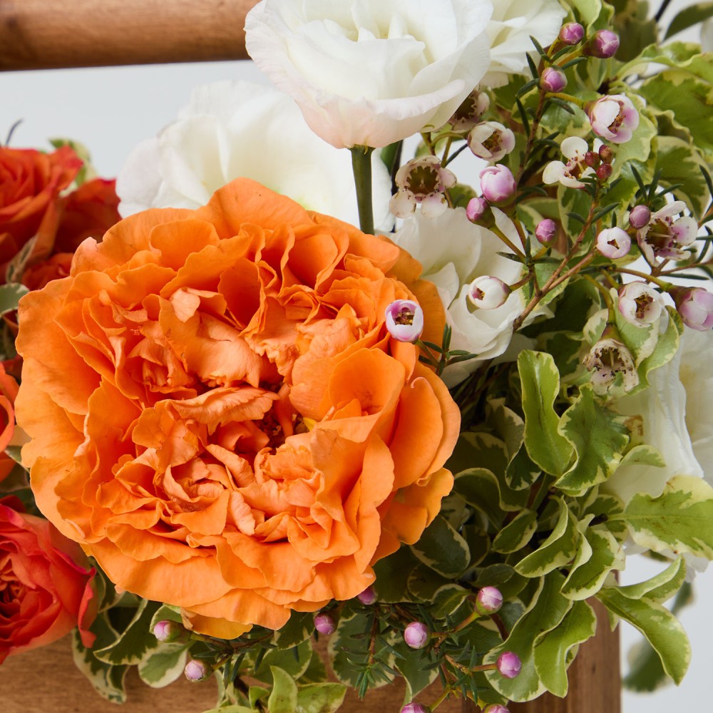 8marta 011 8marta 011