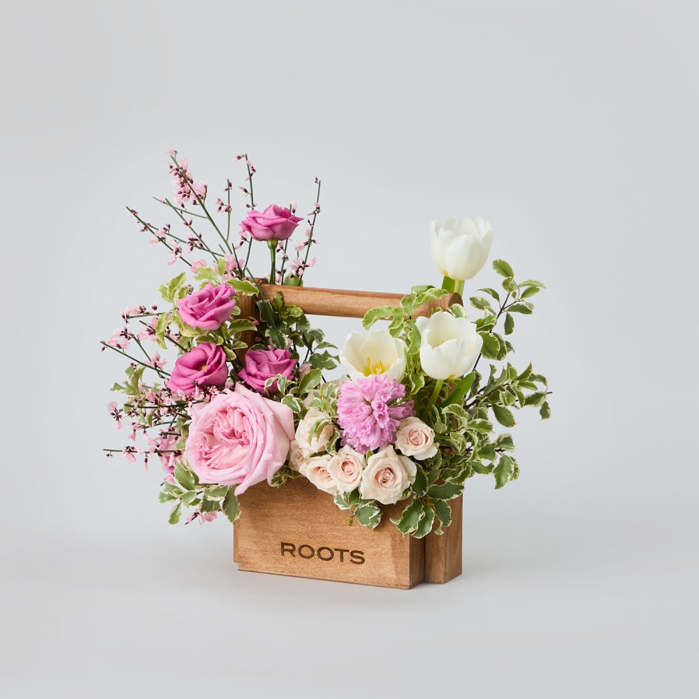 8marta 013 8marta 013