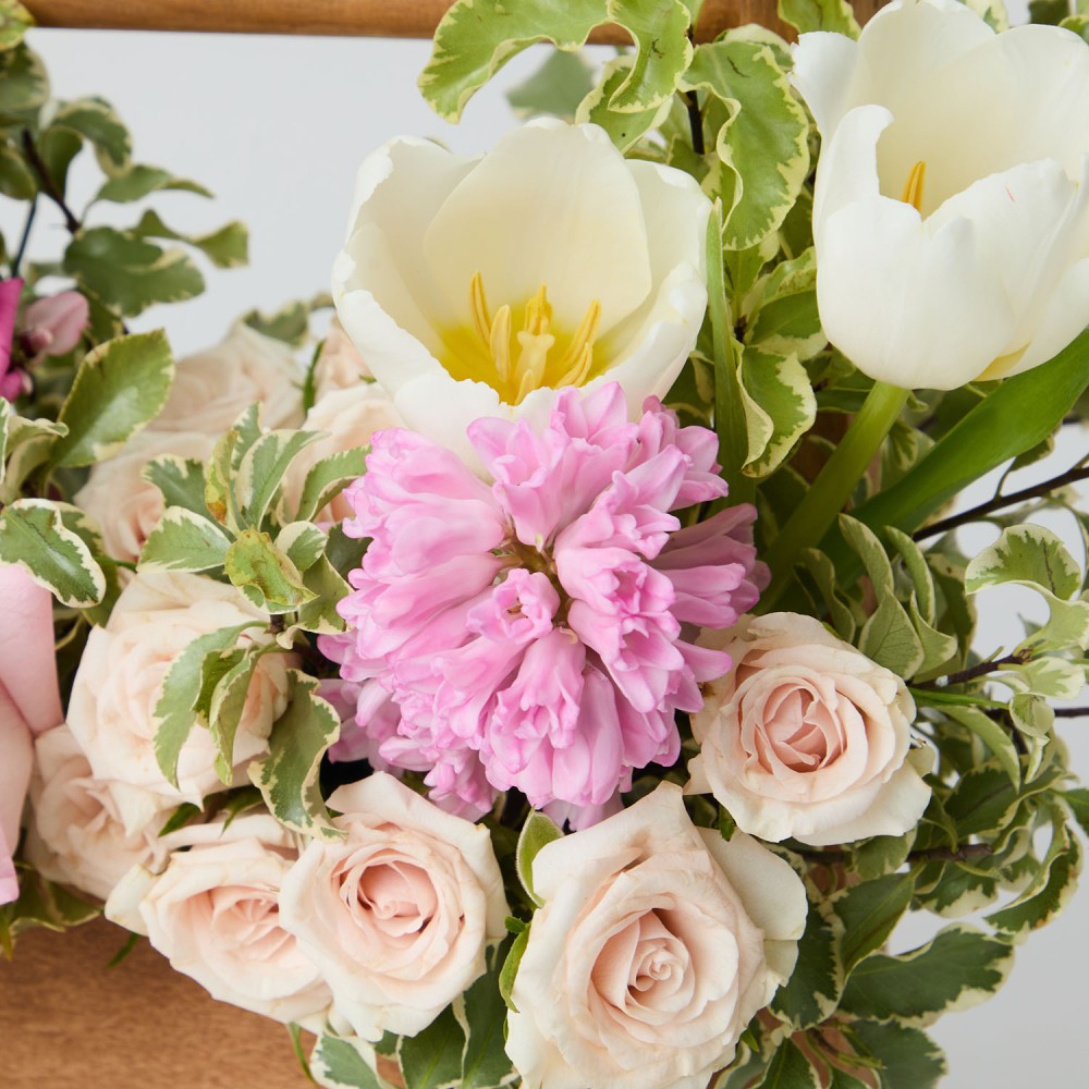 8marta 013 8marta 013