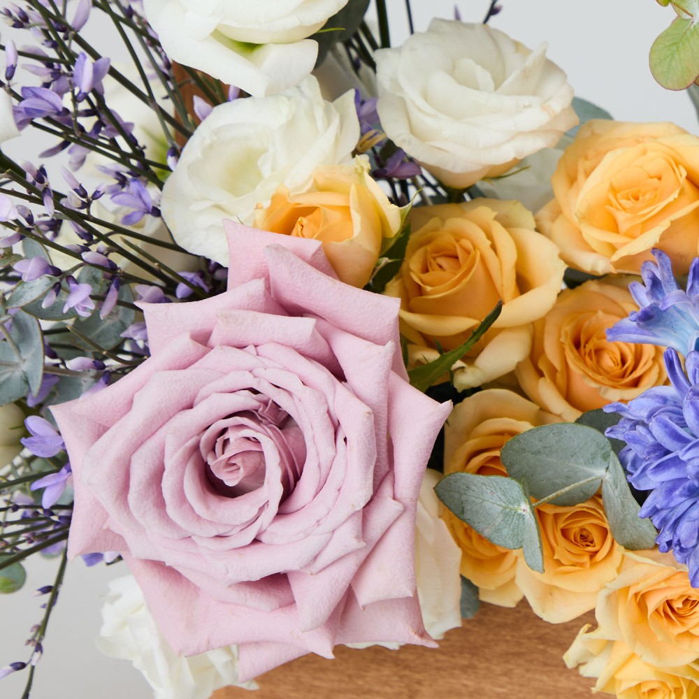 8marta 012 8marta 012