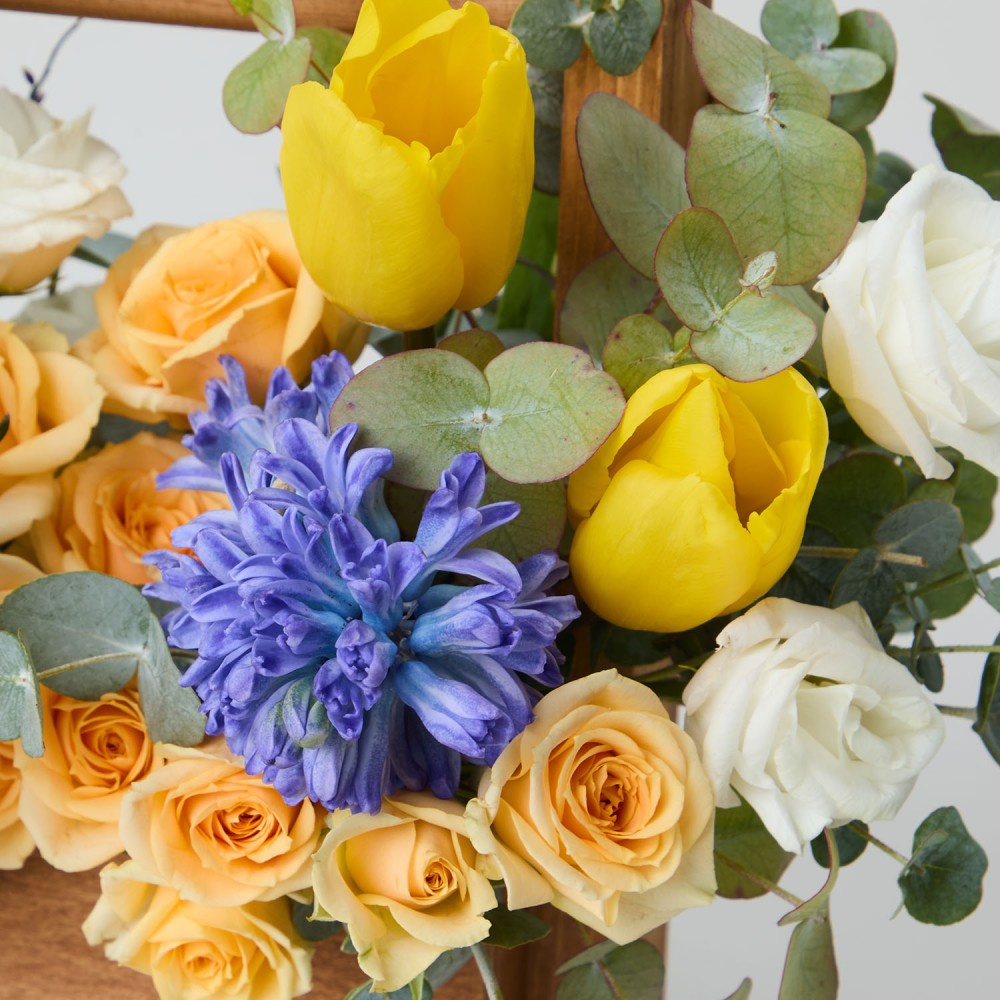 8marta 012 8marta 012