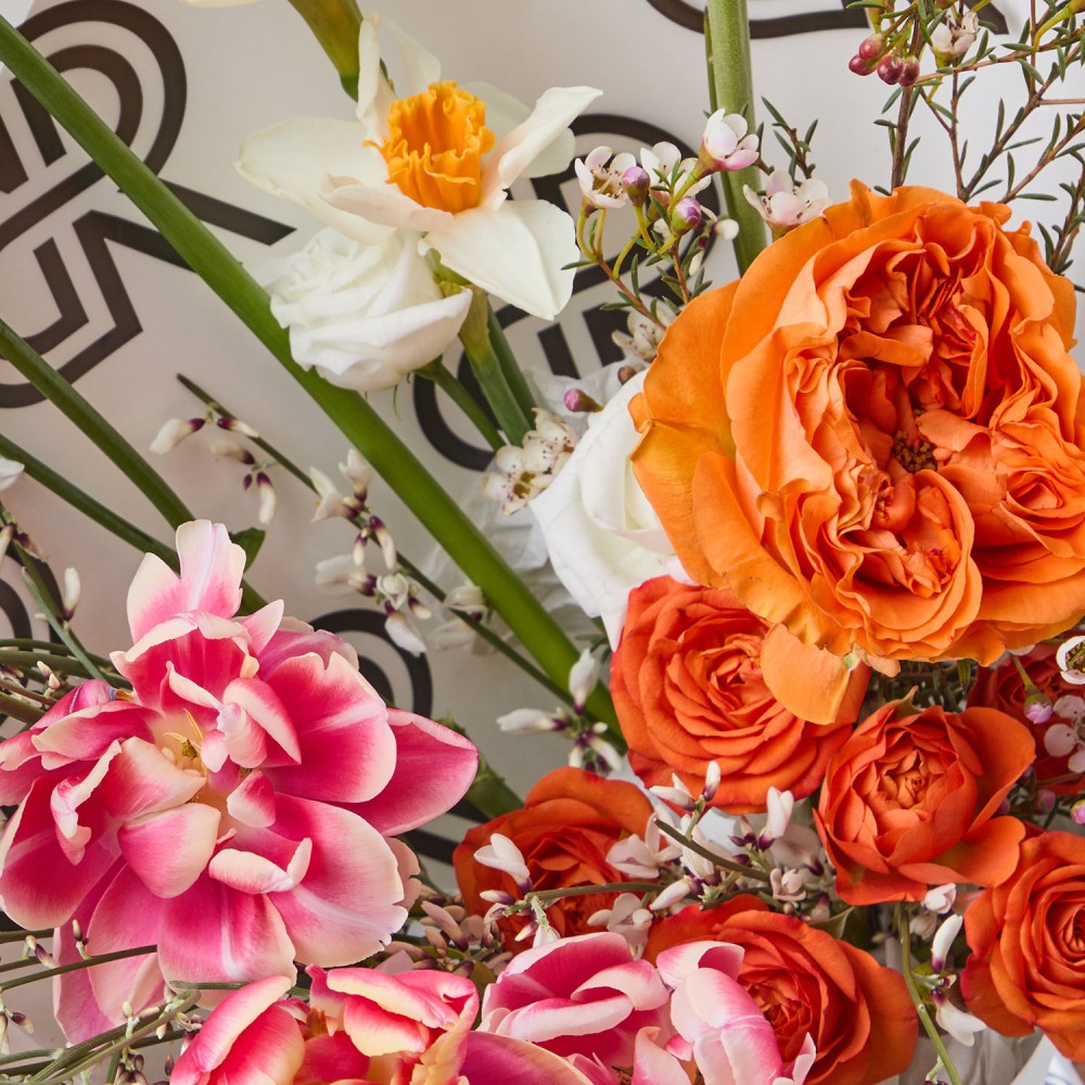 8marta 008 8marta 008