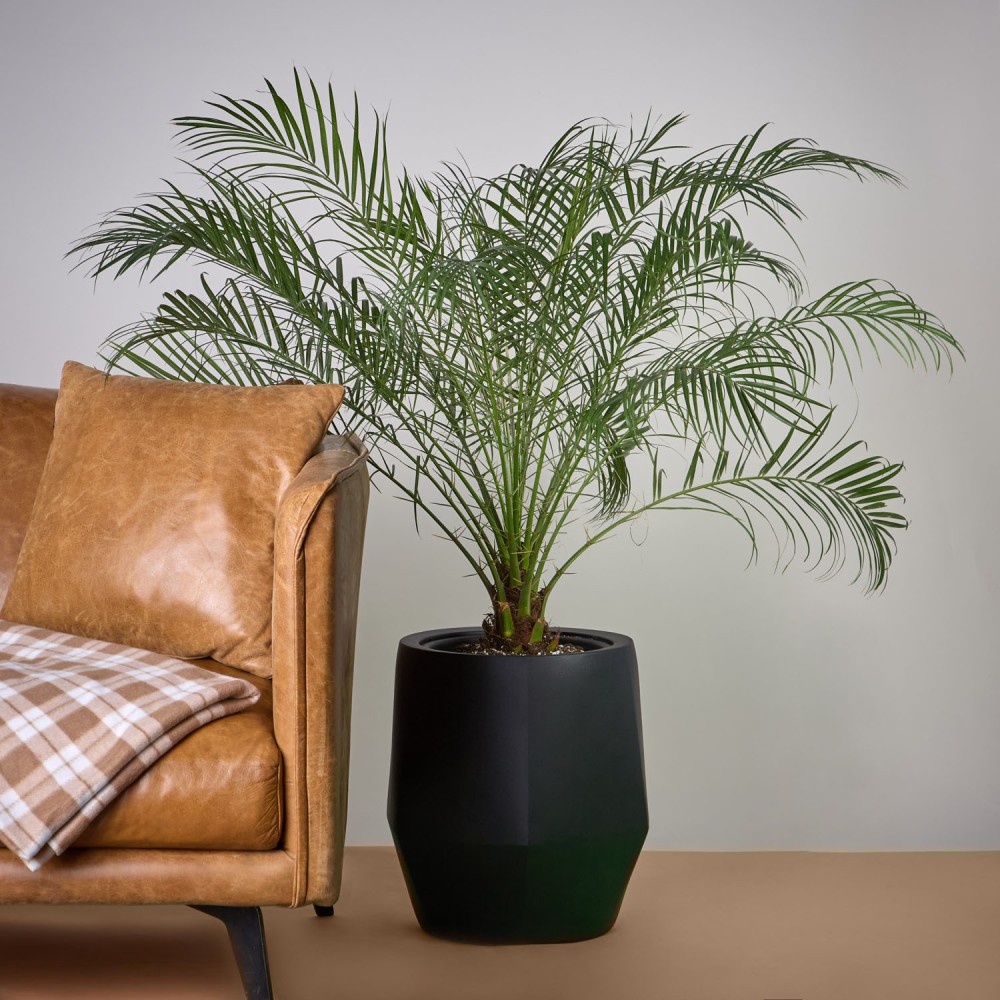 Кашпо Многогранник Антрацит d23