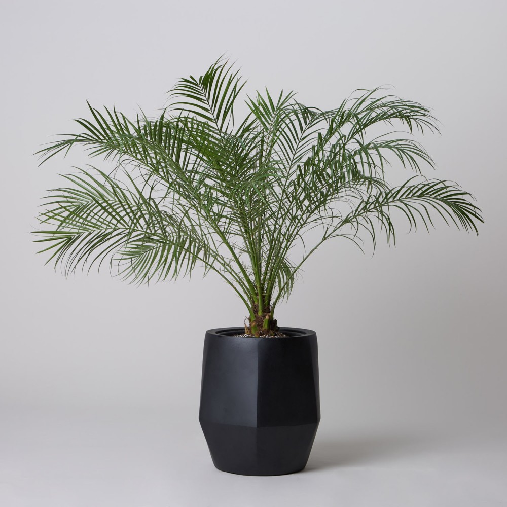 Кашпо Многогранник Антрацит d23