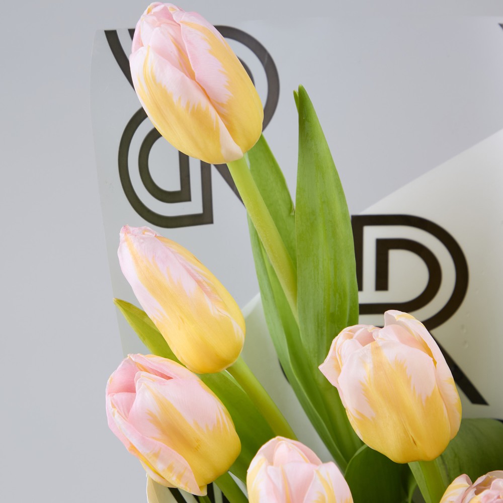 8marta 023 8marta 023