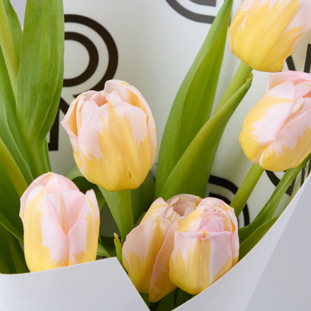 8marta 023 8marta 023