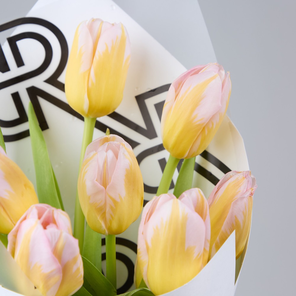 8marta 023 8marta 023