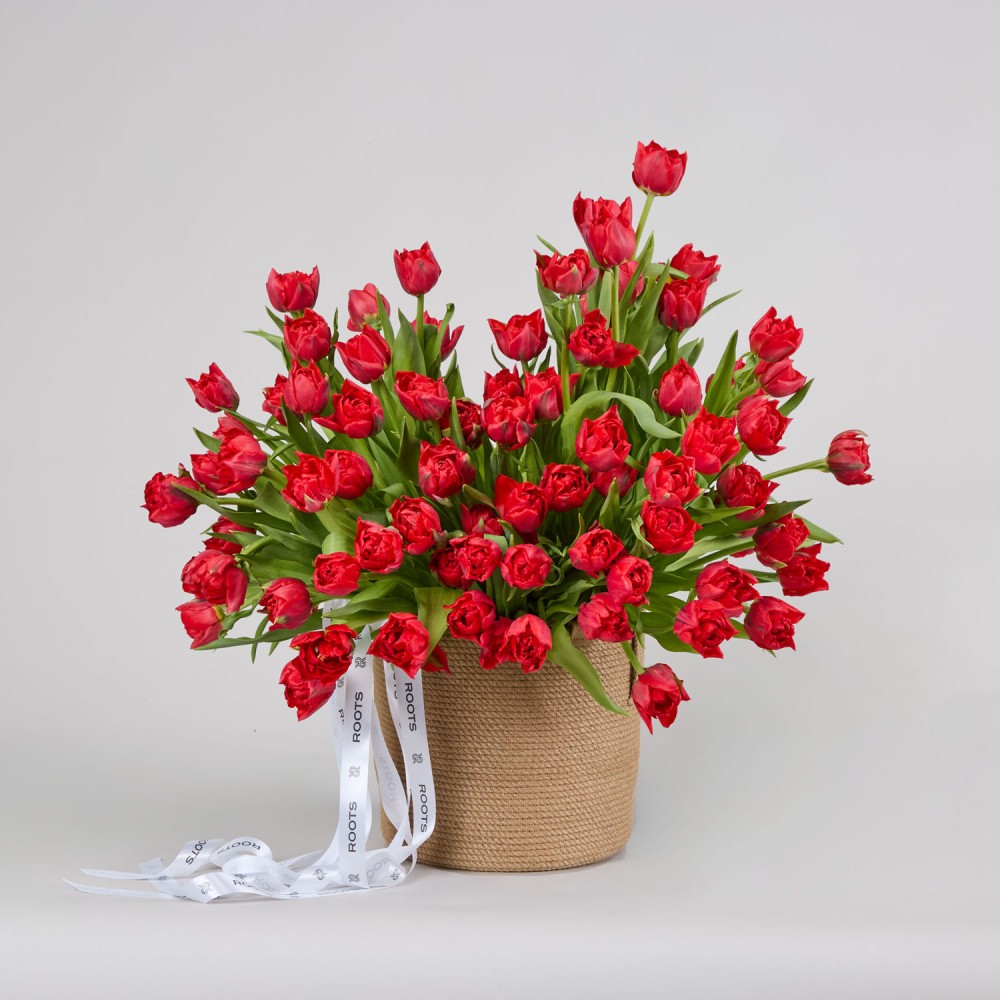 Basket 016 Basket 016