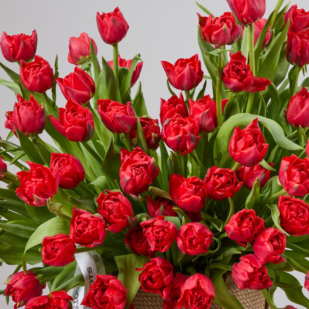 Basket 016 Basket 016