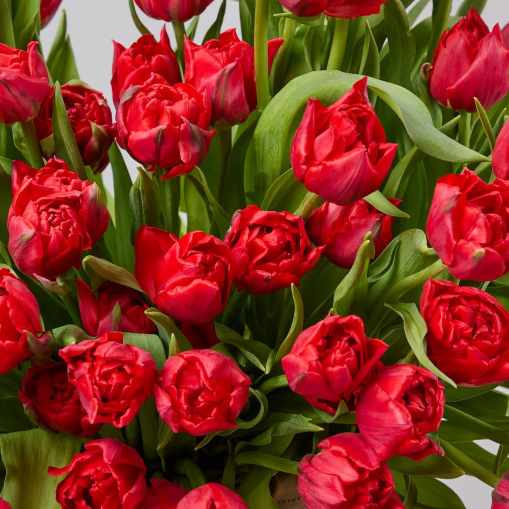 Basket 016 Basket 016