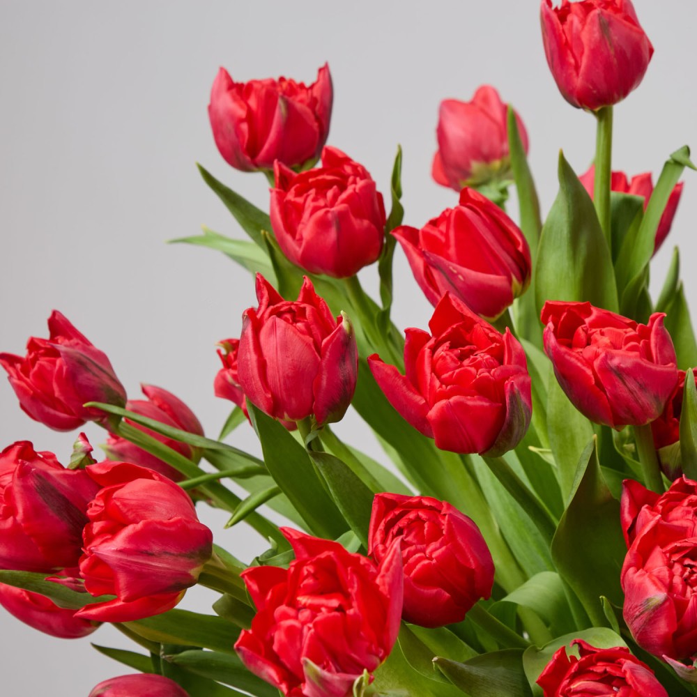 Basket 016 Basket 016