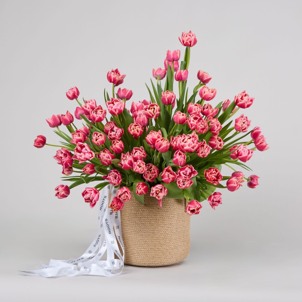 Basket 015 Basket 015