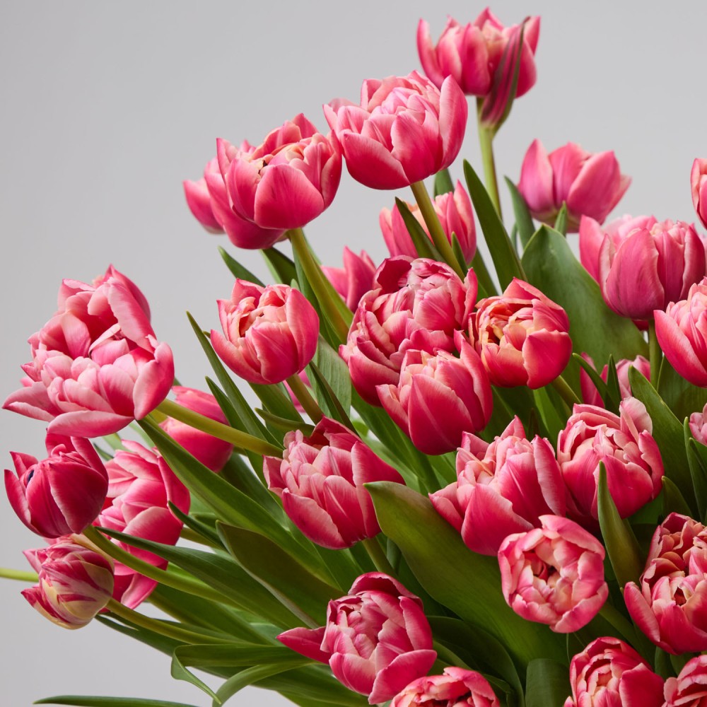 Basket 015 Basket 015