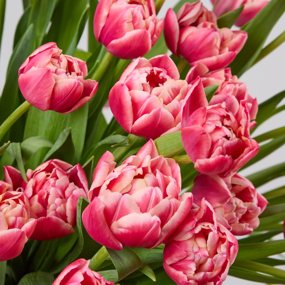 Basket 015 Basket 015