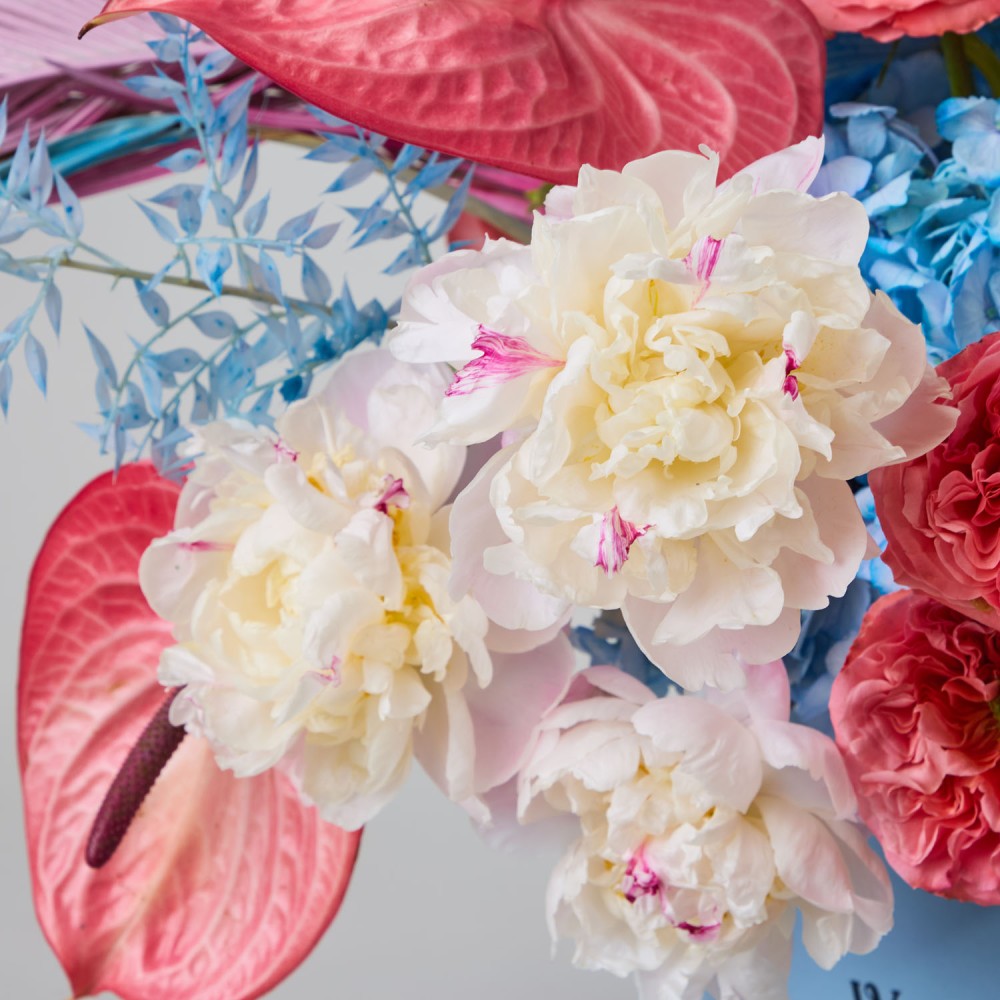 Wonderland 017 Wonderland 017