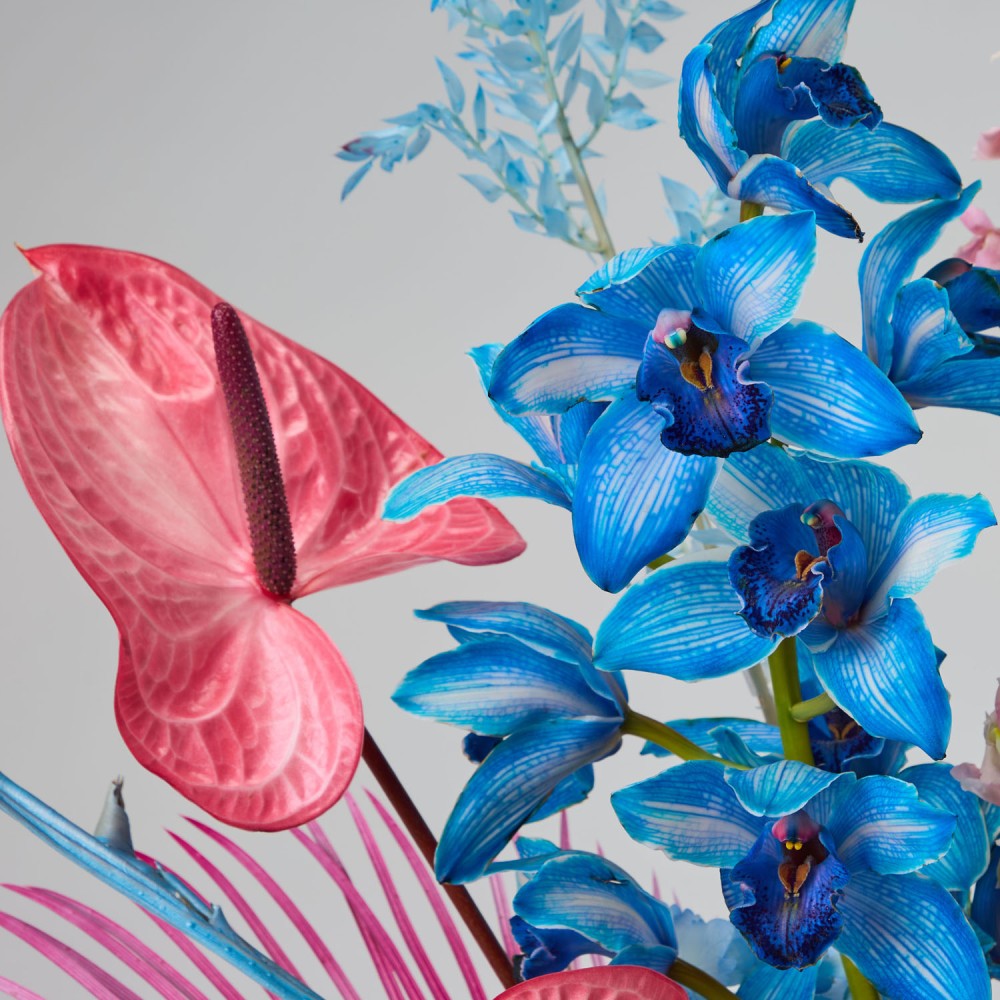 Wonderland 017 Wonderland 017