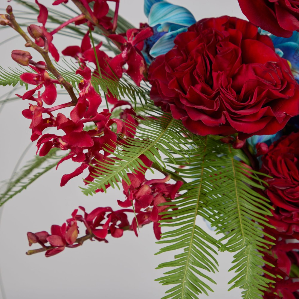 Wonderland 028 Wonderland 028