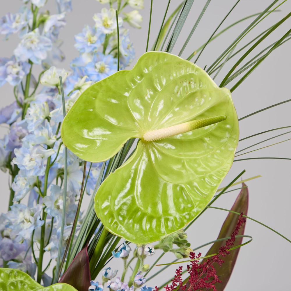 Wonderland 028 Wonderland 028