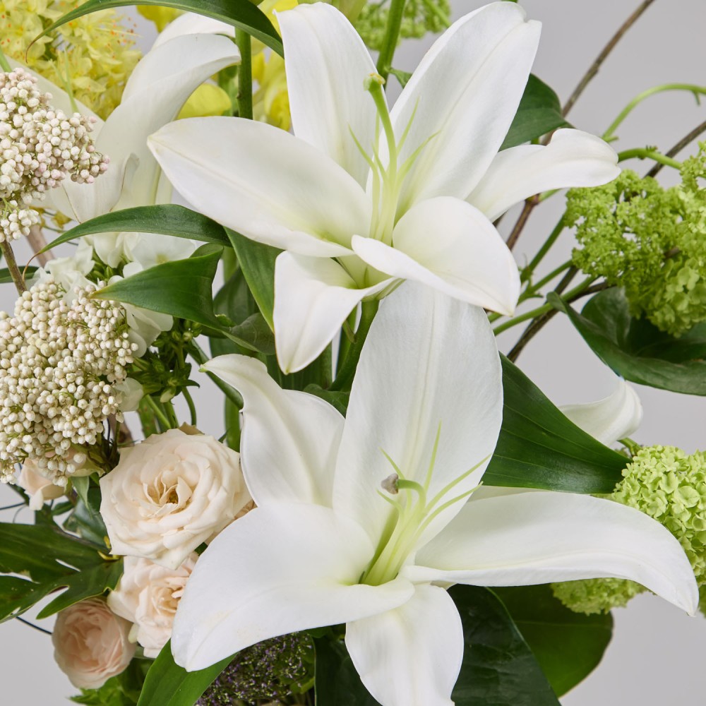 Wonderland 030 Wonderland 030