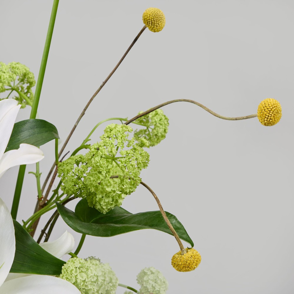 Wonderland 030 Wonderland 030