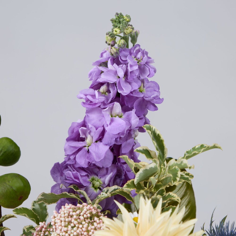 Wonderland 032 Wonderland 032