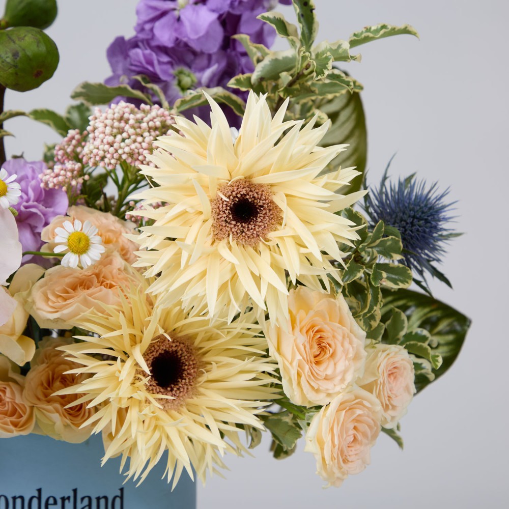 Wonderland 032 Wonderland 032