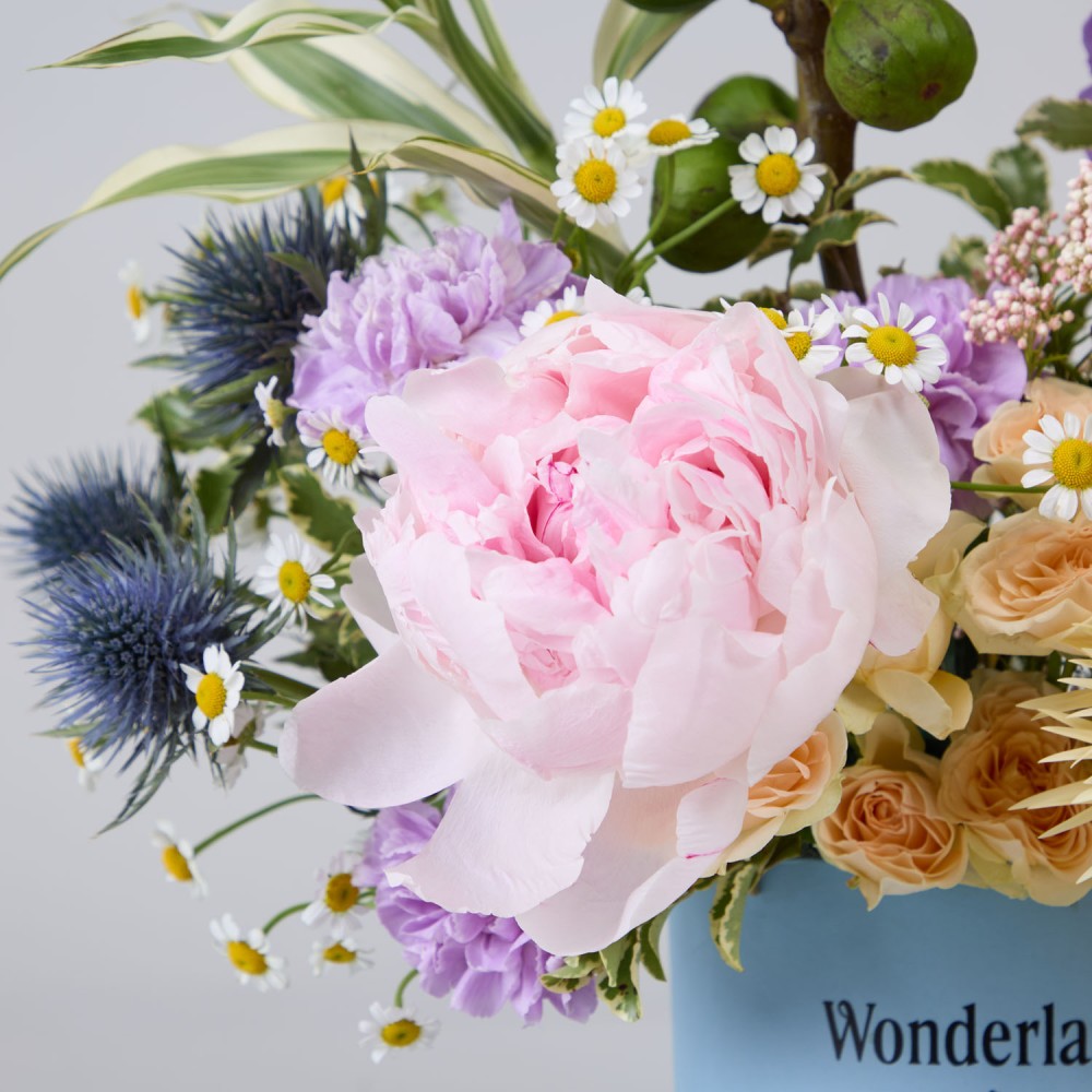 Wonderland 032 Wonderland 032