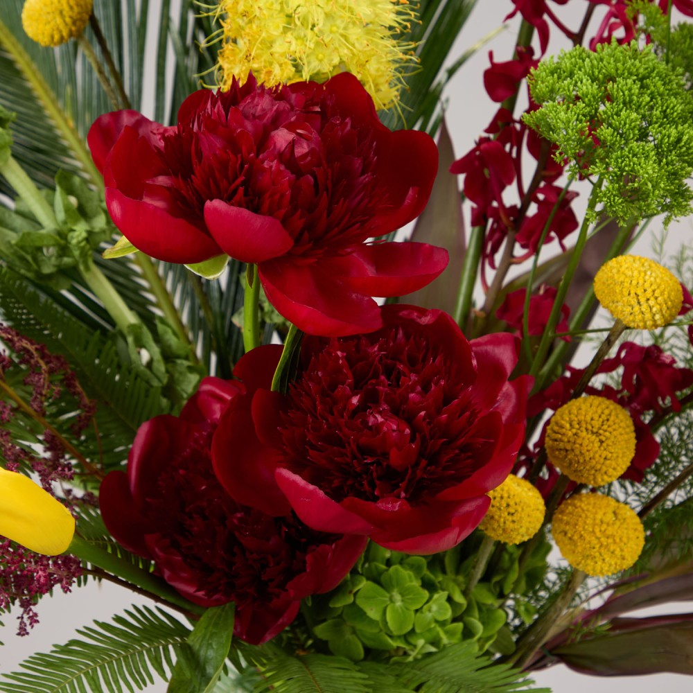 Wonderland 037 Wonderland 037