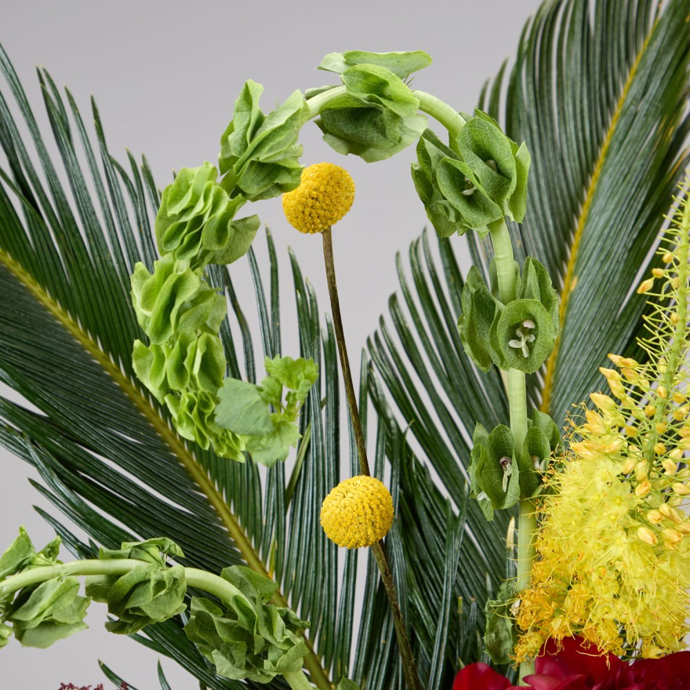 Wonderland 037 Wonderland 037