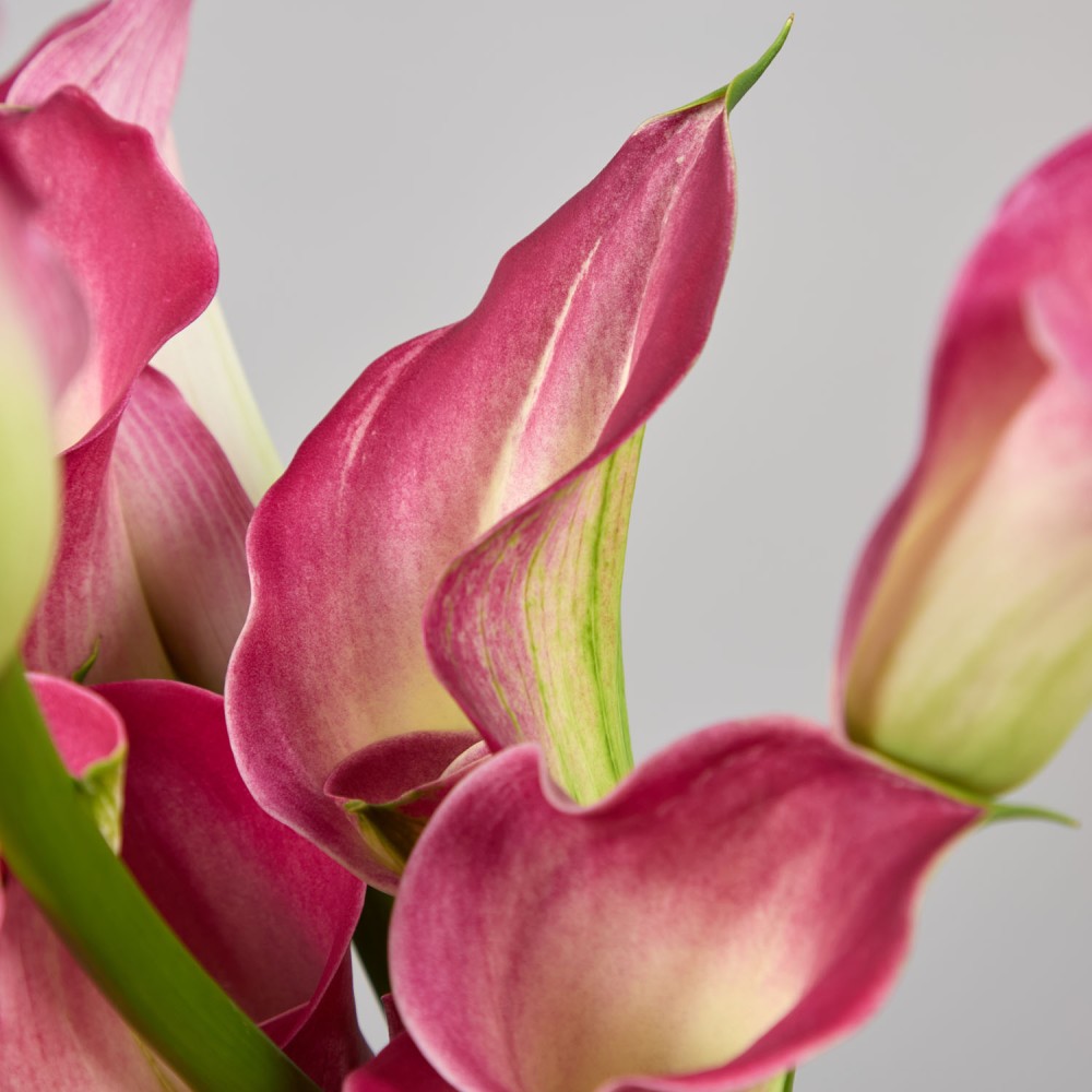 Wedding 025 Wedding 025