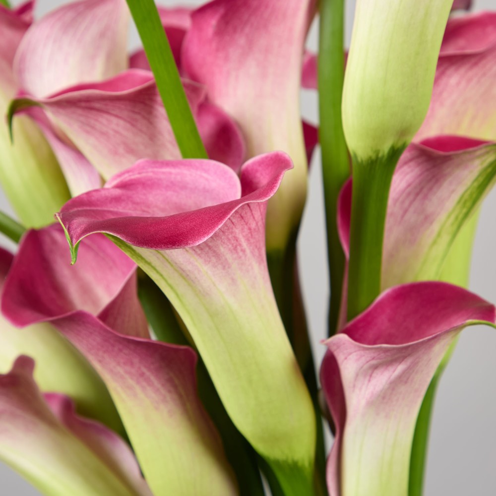 Wedding 025 Wedding 025