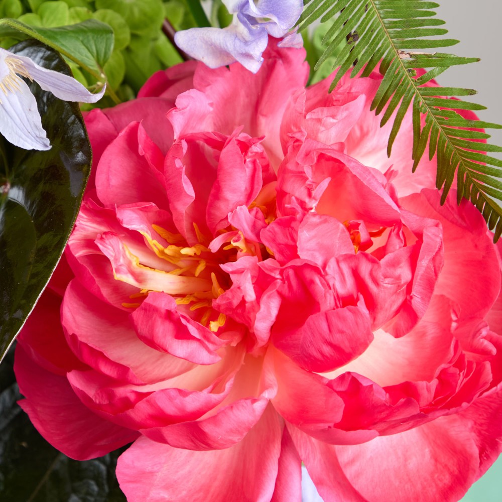 Wedding 026 Wedding 026