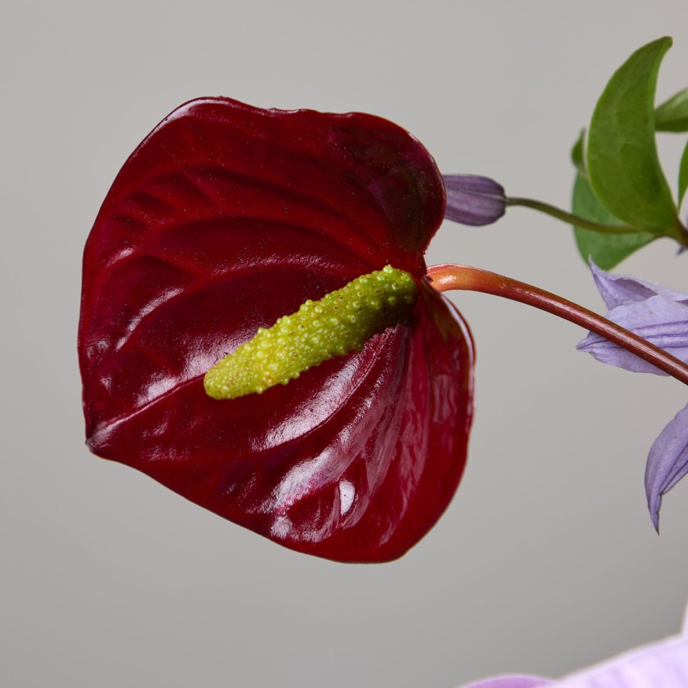 Wedding 026 Wedding 026