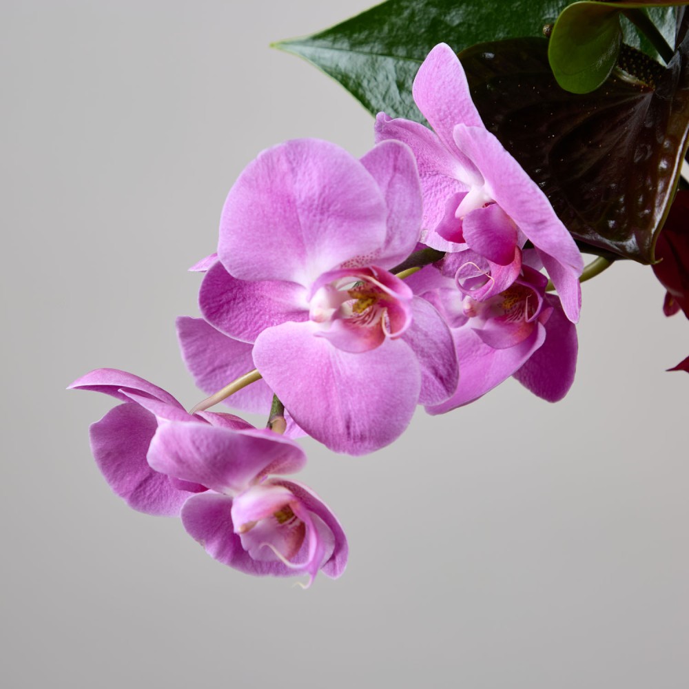 Wedding 029 Wedding 029