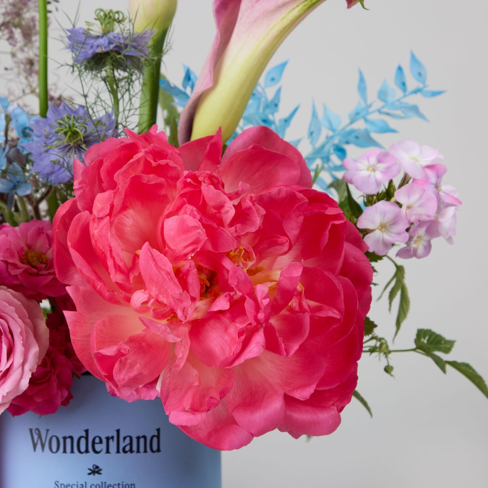 Wonderland 044