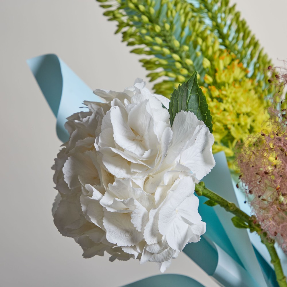 Wonderland 045 Wonderland 045