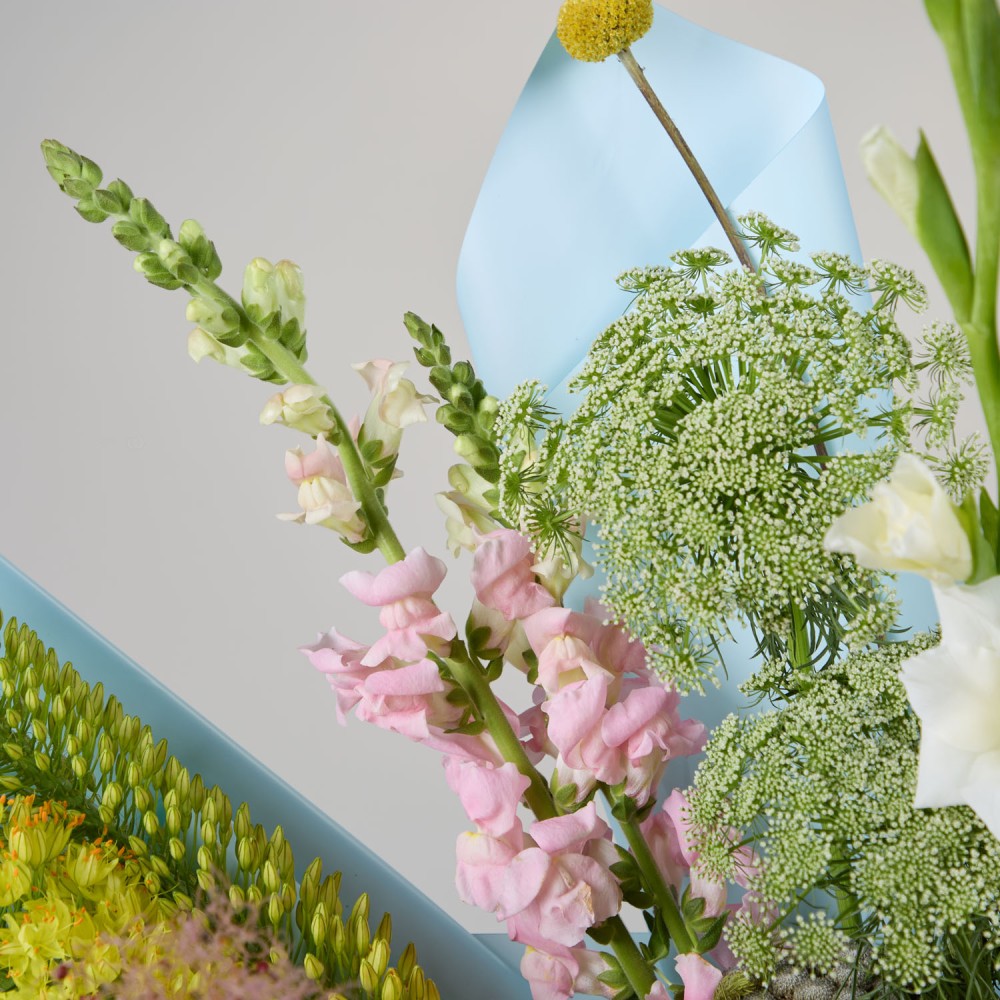 Wonderland 045 Wonderland 045