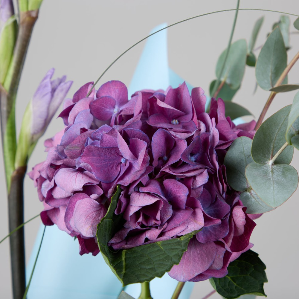 Wonderland 052 Wonderland 052