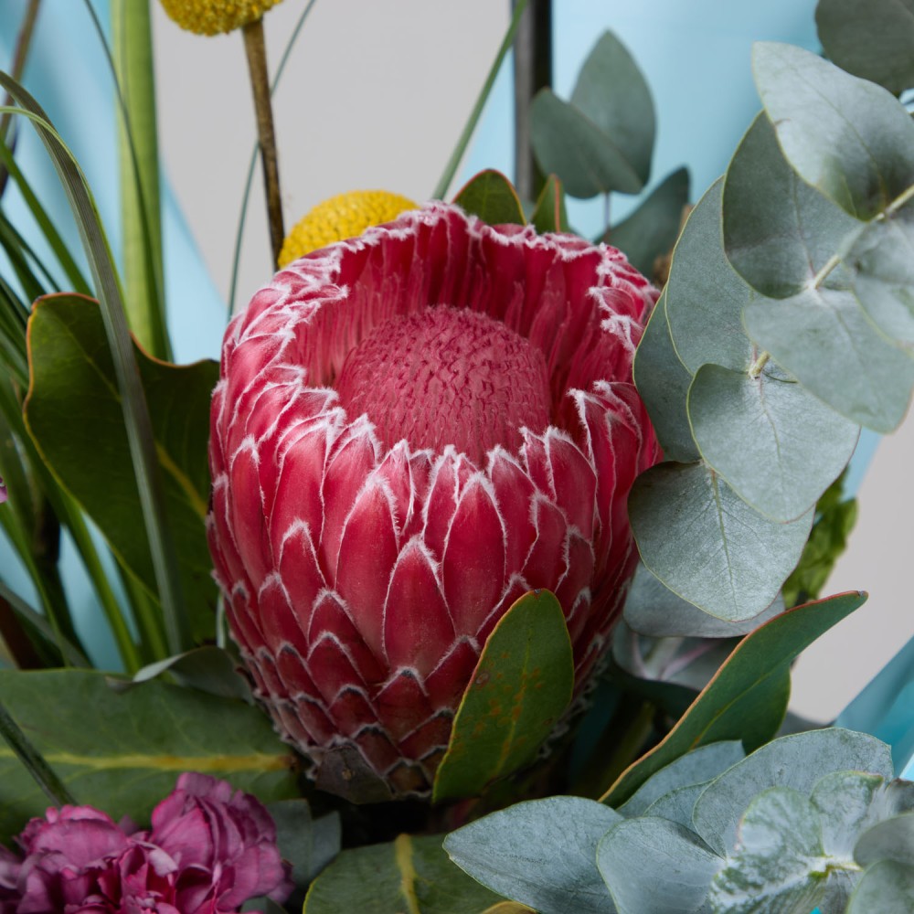 Wonderland 052 Wonderland 052